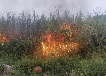 ವಿದ್ಯುತ್ ಇಲಾಖೆ ನಿರ್ಲಕ್ಷ್ಯ ಕಬ್ಬಿನ ಬೆಳೆಗೆ ಬೆಂಕಿ : ರೈತ ಕಂಗಾಲು