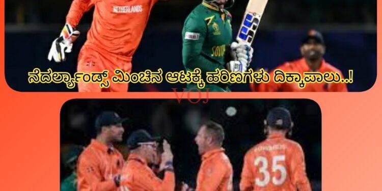 ICC ODI WORLD CUP 2023: ನೆದರ್ಲ್ಯಾಂಡ್ಸ್ ಮಿಂಚಿನ ಆಟಕ್ಕೆ ಹರಿಣಗಳು ದಿಕ್ಕಾಪಾಲು!
