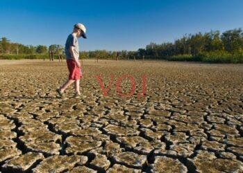 ಅಕ್ಟೋಬರ್-೬ ಕ್ಕೆ ಇಂಡಿಯಲ್ಲಿ ಬರ ಅಧ್ಯಯನ ತಂಡ ಬೇಟಿ.