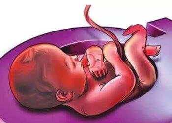 ಭ್ರೂಣ ಹತ್ಯೆ ಅಕ್ಷ್ಯಮ ಅಪರಾಧ : ಸಚಿವ ಎಮ್.ಬಿ ಪಾಟಿಲ