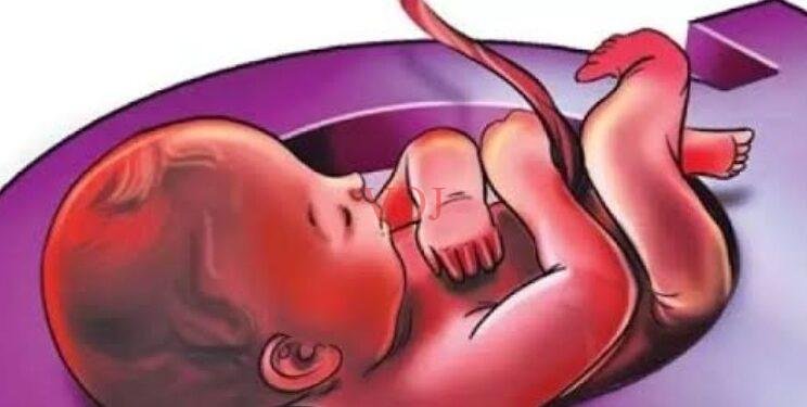 ಭ್ರೂಣ ಹತ್ಯೆ ಅಕ್ಷ್ಯಮ ಅಪರಾಧ : ಸಚಿವ ಎಮ್.ಬಿ ಪಾಟಿಲ