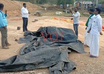 ಆನೆ ದಾಳಿಗೆ ರೈತನ ಜೋಳದ ರಾಶಿ ಫಸಲು ನಾಶ: ರೈತರ ಆಕ್ರೋಶ