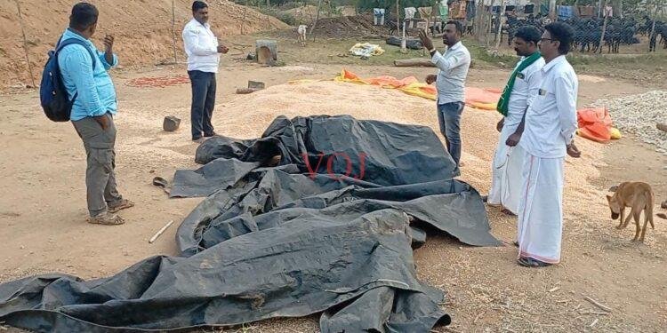 ಆನೆ ದಾಳಿಗೆ ರೈತನ ಜೋಳದ ರಾಶಿ ಫಸಲು ನಾಶ: ರೈತರ ಆಕ್ರೋಶ