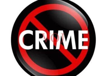 ಇಂಡಿಯಲ್ಲಿ ಶ್ರೀಗಂಧ ಜಪ್ತಿ..! 