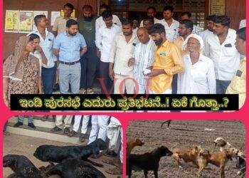 ಕುರಿಗಾಯಿಗಳು ಪರಿಹಾರಕ್ಕಾಗಿ ಆಗ್ರಹಿಸಿ ಇಂಡಿ ಪುರಸಭೆ ಎದುರು ಪ್ರತಿಭಟನೆ