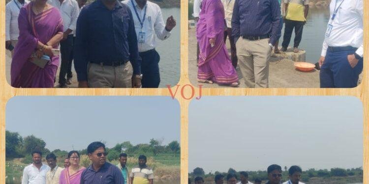 ಭೀಮಾನದಿ ತೀರದ ಹಿಂಗಣಿ ಬ್ಯಾರೇಜ್‌ಗೆ ಡಿಸಿ ಭೇಟಿ