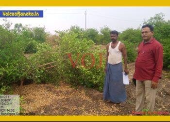 ಅಕಾಲಿಕ ಮಳೆ : ತೋಟಗಾರಿಕೆ ಬೆಳೆಹಾನಿ..!