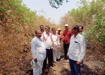 ಜೀವನಕ್ಕೆ ಆಧಾರವಾಗಿದ್ದ ನೂರಾರು ಲಿಂಬೆ ಗಿಡಗಳು ಆಕಸ್ಮಿಕ ಬೆಂಕಿಗೆ ಆಹುತಿ..!