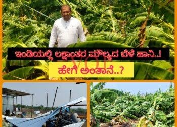 ಇಂಡಿಯಲ್ಲಿ ಅಕಾಲಿಕ ಮಳೆ-ಗಾಳಿಗೆ ಲಕ್ಷಾಂತರ ಮೌಲ್ಯದ ತೋಟಗಾರಿಕೆ ಬೆಳೆ ಹಾನಿ..!