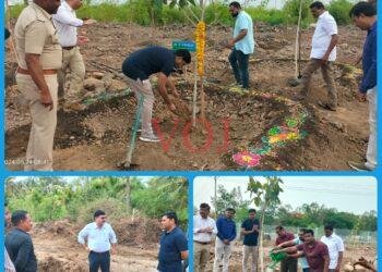ಭೂತನಾಳ ಕೆರೆ ಸುತ್ತ ಮುತ್ತ ಸಸಿ ನೆಡುವ ಯೋಜನೆಗೆ ಚಾಲನೆ..!