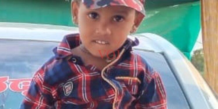 ಹೊಂಡದಲ್ಲಿ ಬಿದ್ದು ಬಾಲಕ ಸಾವು..!