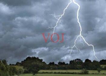 ಸಿಡಿಲು ಬಡಿದು 2 ಕುರಿ ಹಾಗೂ 1 ಆಕಳು ಸಾವು..!