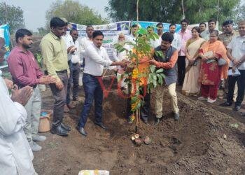 ಅಭಿವೃದ್ದಿ ಹೆಸರಿನಲ್ಲಿ ಪರಿಸರ , ಮಣ್ಣು ಹಾಳು – ಡಿಸಿಪಿ