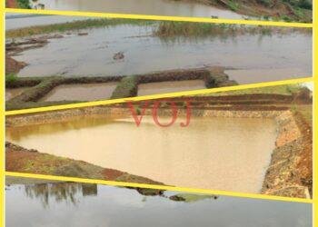 ವರ್ಷಧಾರೆ: ನರೇಗಾ ಜಲಮೂಲಗಳಿಗೆ ಜೀವಕಳೆ