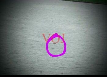 ಕೃಷ್ಣಾ ನದಿಗೆ ವ್ಯಕ್ತಿಯೋರ್ವ ಜಿಗಿದು ಆತ್ಮಹತ್ಯೆ..! ವಿಡಿಯೋ ಸಮೇತ