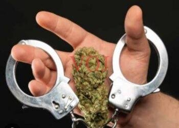 ಅಕ್ರಮ ಗಾಂಜಾ ಮಾರಾಟ ಮಾಡುತ್ತಿದ್ದವರ ಕಾರು ಸಮೇತ ಮೂವರ ಬಂಧನ..!