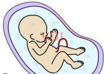 ನವಜಾತ ಶಿಶು ಎಸೆದು ಪರಾರಿಯಾದ ದುರಳರು..!