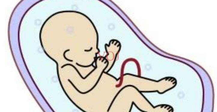 ನವಜಾತ ಶಿಶು ಎಸೆದು ಪರಾರಿಯಾದ ದುರಳರು..!