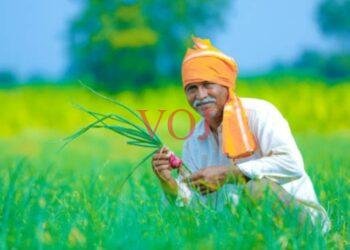 ಜಿಲ್ಲಾ ಕೃಷಿ ಪ್ರಶಸ್ತಿಗೆ ಅರ್ಜಿ ಅಹ್ವಾನ