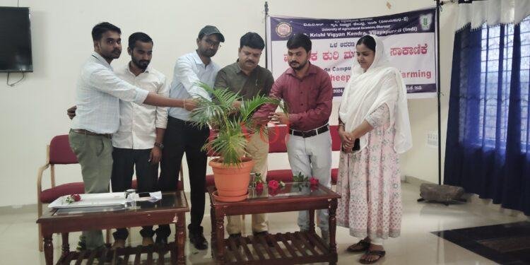 ಕುರಿ ಸಾಕಾಣ ಕೆ ತರಬೇತಿ | ಜಗತ್ತಿನಲ್ಲಿ ಮೂರನೆಯ ಸ್ಥಾನ ಉಪ ಕೃಷಿಯಿಂದ ಆದಾಯ ಹೆಚ್ಚಳ