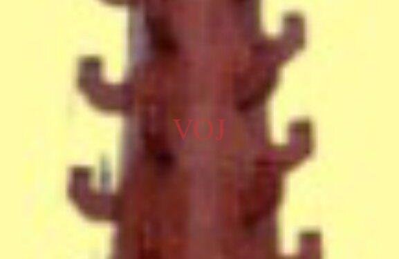 ಅ ೩೦. ಮಾಲಗಂಭ ಲೋಕಾರ್ಪಣೆ