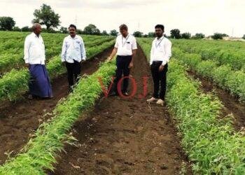 ಮುಂಗಾರಿ ಬಿತ್ತನೆ ಪೂರ್ಣ : ಶೇಕಡಾ ೧೦೦ ರಷ್ಟು ಬಿತ್ತನೆ