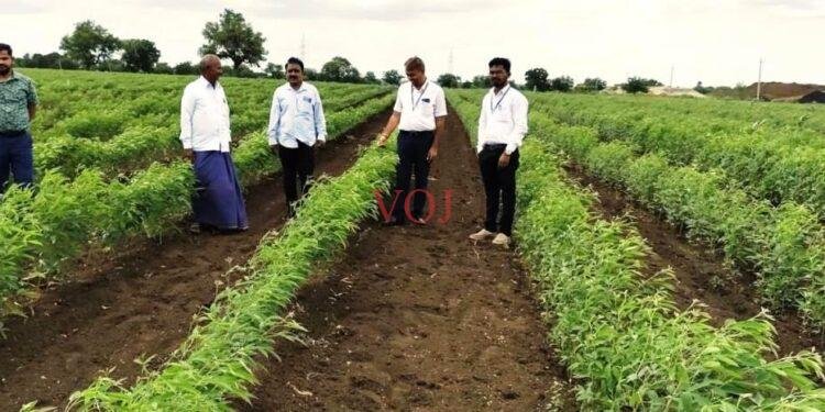 ಮುಂಗಾರಿ ಬಿತ್ತನೆ ಪೂರ್ಣ : ಶೇಕಡಾ ೧೦೦ ರಷ್ಟು ಬಿತ್ತನೆ