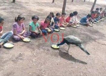 ಮಕ್ಕಳೊಂದಿಗೆ ಬಿಸಿಊಟ ಸವಿದ ನಾಟ್ಯ ಮಯೂರಿ..! ಒಮ್ಮೆ ವಿಡಿಯೋ ವಿಕ್ಷಿಸಿ