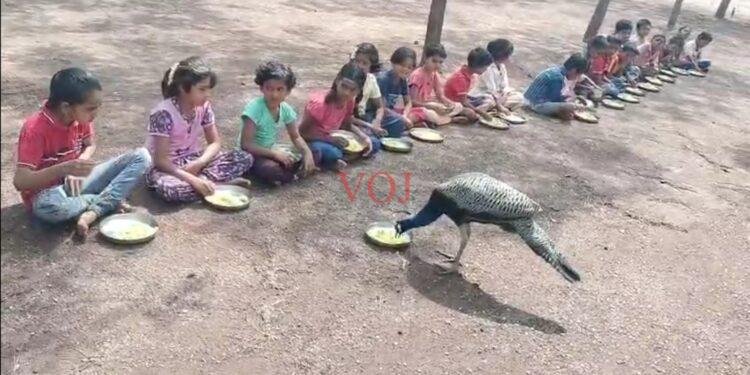 ಮಕ್ಕಳೊಂದಿಗೆ ಬಿಸಿಊಟ ಸವಿದ ನಾಟ್ಯ ಮಯೂರಿ..! ಒಮ್ಮೆ ವಿಡಿಯೋ ವಿಕ್ಷಿಸಿ