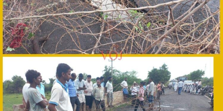 ತಾಳಿಕೋಟಿ ದೇವರಹಿಪ್ಪರಗಿ ಸೇತುವೆ ಕುಸಿತ: ದುರಸ್ತಿಗೆ ಆಗ್ರಹ