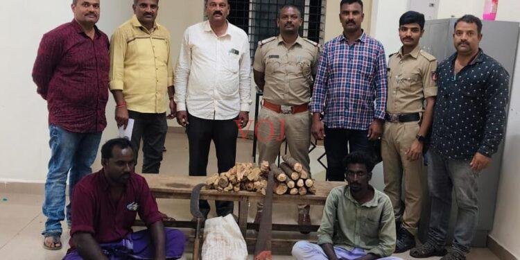 ಅಕ್ರಮ ಶ್ರೀಗಂಧ ಕಳ್ಳ ಸಾಗಾಟ: ರಾಮಾಪುರ ಪೊಲೀಸ್ ರಿಂದ ಯಶಸ್ವಿ ಕಾರ್ಯಾಚರಣೆ