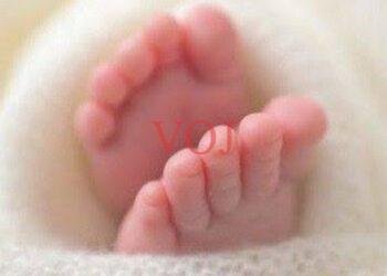 ನವಜಾತ ಹೆಣ್ಣು ಶಿಶುವಿನ ಪಾಲಕರ ಪತ್ತೆಗೆ ಮನವಿ