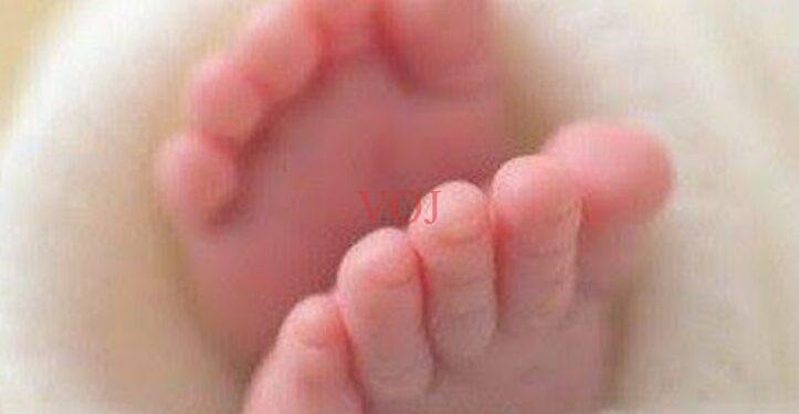 ನವಜಾತ ಹೆಣ್ಣು ಶಿಶುವಿನ ಪಾಲಕರ ಪತ್ತೆಗೆ ಮನವಿ