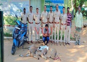 ಜಿಂಕೆ ಬೇಟೆ ಪ್ರಕರಣದಲ್ಲಿ ಒರ್ವನ ಬಂಧನ ಮತ್ತಿಬ್ಬರು ಪರಾರಿ..!