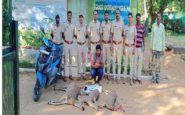 ಜಿಂಕೆ ಬೇಟೆ ಪ್ರಕರಣದಲ್ಲಿ ಒರ್ವನ ಬಂಧನ ಮತ್ತಿಬ್ಬರು ಪರಾರಿ..!