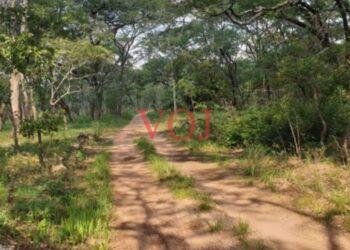 ರೈತರ ಜಮೀನುಗಳಿಗೆ ತೆರಳುವ ಸರ್ಕಾರಿ ದಾರಿ ಮುಚ್ಚಿರುವುದನ್ನು ತೆರವುಗೊಳಿಸುವಂತೆ ಮನವಿ