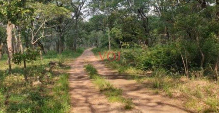 ರೈತರ ಜಮೀನುಗಳಿಗೆ ತೆರಳುವ ಸರ್ಕಾರಿ ದಾರಿ ಮುಚ್ಚಿರುವುದನ್ನು ತೆರವುಗೊಳಿಸುವಂತೆ ಮನವಿ