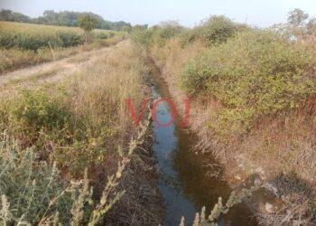 ಇಂಡಿ : ಕಾಲುವೆ ನೀರು ಕಟ್ ತೊಗರಿ ಬೆಳೆಗಾರರು ಕಂಗಾಲು..!