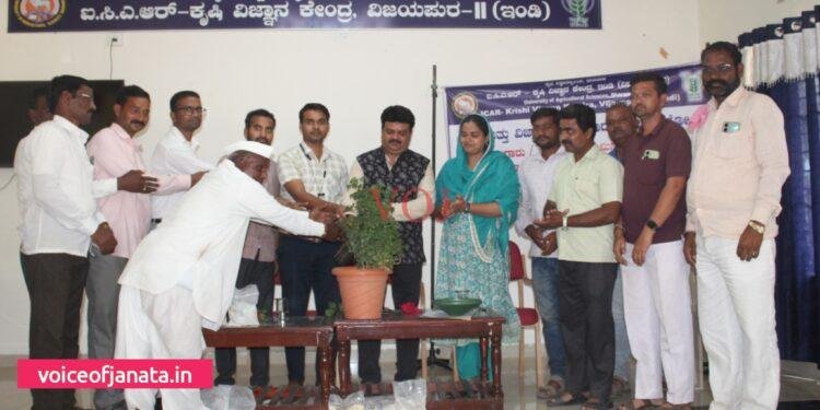 ಬೆಳೆ ನಿರ್ವಹಣಾಕ್ರಮ ಅನುಸರಿಸಿ : ಡಾ. ಹೀನಾ