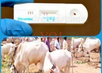 ಡಿ.29 ರಂದು ದನಗಳ ಉಚಿತ ಆರೋಗ್ಯ ತಪಾಸಣೆ 