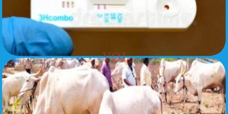 ಡಿ.29 ರಂದು ದನಗಳ ಉಚಿತ ಆರೋಗ್ಯ ತಪಾಸಣೆ