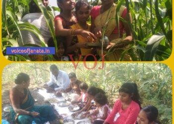 ಎಳ್ಳು ಅಮವಾಸ್ಯೆ: ಉತ್ತರ ಕರ್ನಾಟಕದಲ್ಲಿ ಭೂತಾಯಿಗೆ ವಿಶೇಷ ಪೂಜೆ