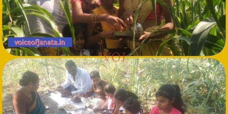 ಎಳ್ಳು ಅಮವಾಸ್ಯೆ: ಉತ್ತರ ಕರ್ನಾಟಕದಲ್ಲಿ ಭೂತಾಯಿಗೆ ವಿಶೇಷ ಪೂಜೆ