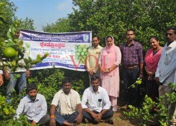 ನಿಂಬೆ ಬೆಳೆಗೆ ಸಮಗ್ರ ರೋಗ ನಿರ್ವಹಣಾ ಕ್ರಮ ಮುಖ್ಯ