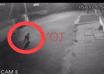 ನಗರದಲ್ಲಿ ಪ್ರತ್ಯಕ್ಷವಾದ ಚಿರತೆ..! ಎಲ್ಲಿ ಗೊತ್ತಾ..?