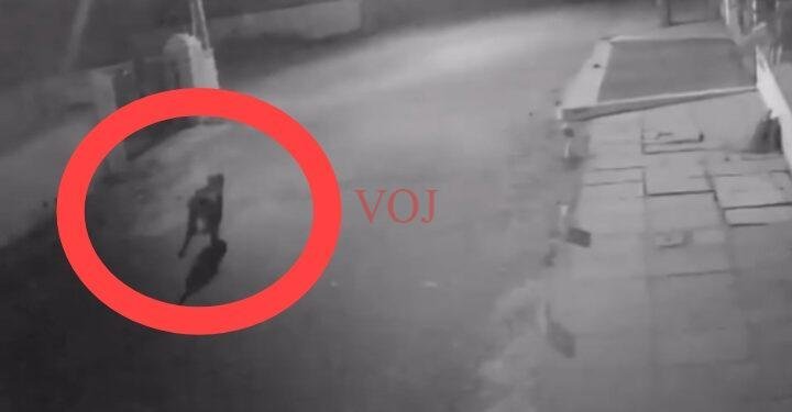 ನಗರದಲ್ಲಿ ಪ್ರತ್ಯಕ್ಷವಾದ ಚಿರತೆ..! ಎಲ್ಲಿ ಗೊತ್ತಾ..?