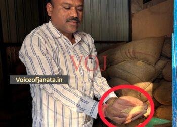 ಇಂಡಿ | ಪಡಿತರ ಆಹಾರದಲ್ಲಿ ನುಸಿ ಹುಳುಗಳು..! ಎಲ್ಲಿ ಗೊತ್ತಾ..?