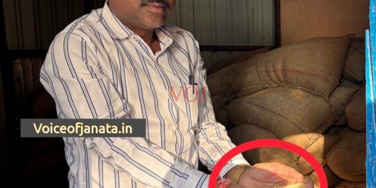 ಇಂಡಿ | ಪಡಿತರ ಆಹಾರದಲ್ಲಿ ನುಸಿ ಹುಳುಗಳು..! ಎಲ್ಲಿ ಗೊತ್ತಾ..?