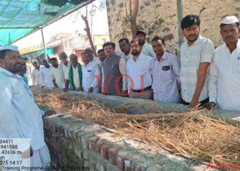 ಎರೆಹುಳು ಗೊಬ್ಬರದಿಂದ ರೈತರ ಆದಾಯ ಹೆಚ್ಚಳ