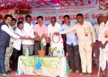 ಖಾಸಗಿ ಶಾಲೆ ವ್ಯಾಮೋಹ ಬಿಡಬೇಕು :ಧರಿಕಾರ